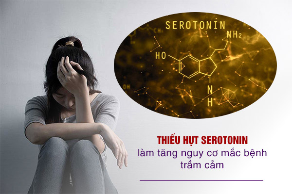 Thiếu hụt serotonin là một trong những nguyên nhân gây trầm cảm, rối loạn lo âu